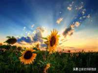 海口黄友结科技有限公司