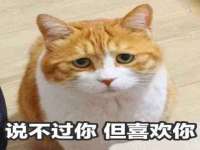 海口黄友结科技有限公司