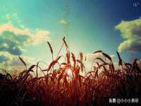 海口黄友结科技有限公司