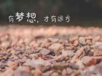 海口黄友结科技有限公司