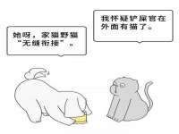 海口黄友结科技有限公司