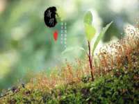 海口黄友结科技有限公司