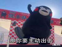 海口黄友结科技有限公司