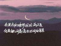 海口黄友结科技有限公司