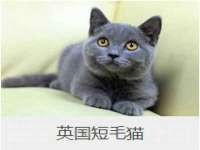 海口黄友结科技有限公司