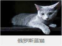 海口黄友结科技有限公司