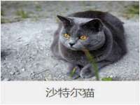 海口黄友结科技有限公司