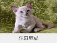海口黄友结科技有限公司