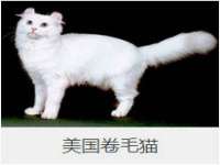 海口黄友结科技有限公司