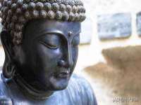 海口黄友结科技有限公司