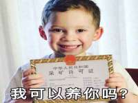 海口黄友结科技有限公司