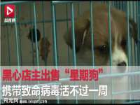 海口黄友结科技有限公司