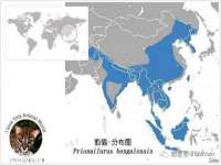海口黄友结科技有限公司