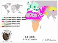 海口黄友结科技有限公司