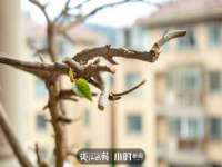 海口黄友结科技有限公司