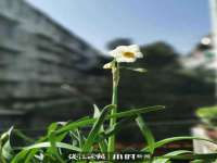 海口黄友结科技有限公司