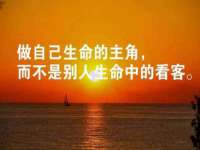 海口黄友结科技有限公司