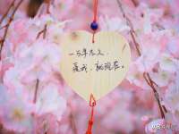 海口黄友结科技有限公司