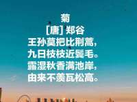 海口黄友结科技有限公司