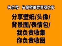 海口黄友结科技有限公司