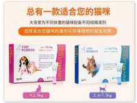海口黄友结科技有限公司