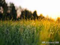 海口黄友结科技有限公司