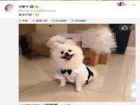 海口黄友结科技有限公司