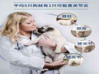 海口黄友结科技有限公司