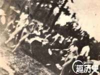 海口黄友结科技有限公司
