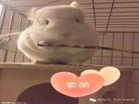 海口黄友结科技有限公司