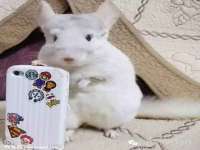 海口黄友结科技有限公司