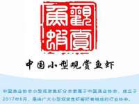 海口黄友结科技有限公司