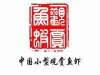 海口黄友结科技有限公司