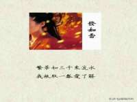 海口黄友结科技有限公司