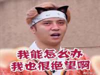 海口黄友结科技有限公司