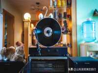 海口黄友结科技有限公司