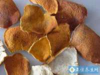 海口黄友结科技有限公司