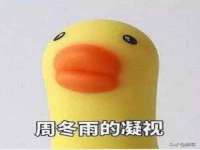 海口黄友结科技有限公司