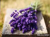 海口黄友结科技有限公司