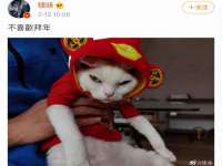 海口黄友结科技有限公司